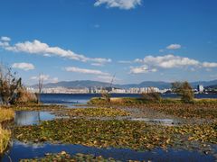 -洱海月湿地公园