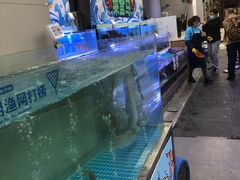 -盒马鲜生(大成店)