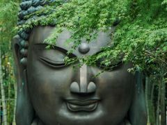 -杭州植物园