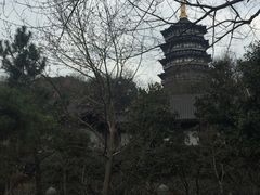 -西湖游船