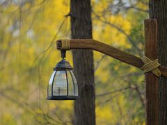 -上海共青森林公园