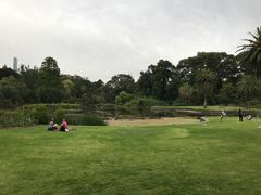 -墨尔本皇家植物园
