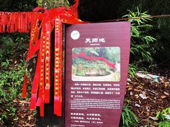 -青城山