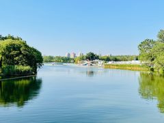 -朝阳公园游乐园