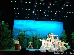 -国学剧院(功夫诗·九卷)