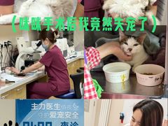 -美联众合爱康动物医院•复杂内科•肿瘤科•牙科•腔镜诊疗中心