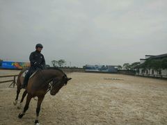 -松声马术俱乐部