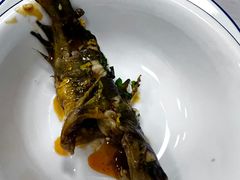 -葡萄园鱼庄(新津店)