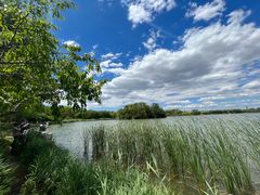 -大兴滨河森林公园