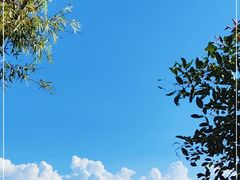 -月亮湾湿地公园