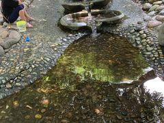 -成都市活水公园