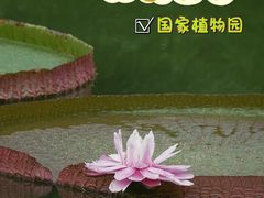 -国家植物园南园