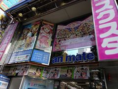 -Animate(秋叶原本馆)