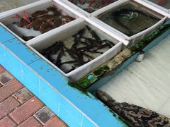-梅姐海鲜餐厅(水头海鲜街店)