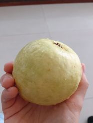 -厦门市妇幼保健院(总院区)