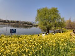 -东南大学(九龙湖校区)
