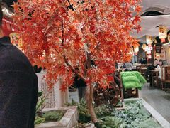 -杨记隆府重庆江湖菜(大悦城店)