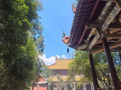 -南岳衡山风景名胜区-南岳大庙