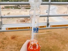 -广州长隆野生动物世界