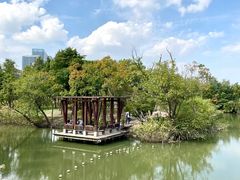 -上海吴淞炮台湾国家湿地公园