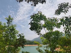 -广州市流溪河国家森林公园
