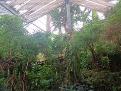 -华南国家植物园-售票处