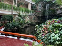 -广州白天鹅宾馆