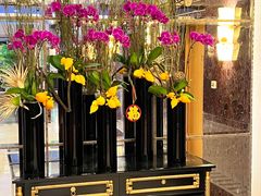 -上海新锦江大酒店