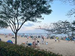 -碧海金沙