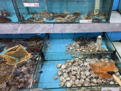 -考记泥焗鸡农庄·海鲜(北洛秘境店)