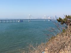 景点-星海湾跨海大桥