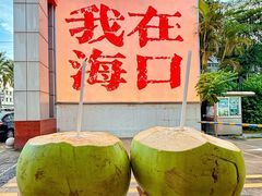-海岛八号龙虾烧烤田鸡(蓝天路总店)