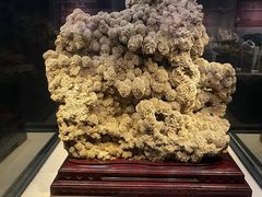 -正佳自然科学博物馆