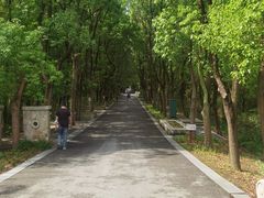 -同里国家湿地公园