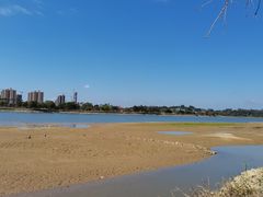 -鹤之洲湿地公园