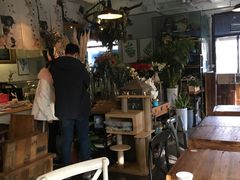-吉丁鸟咖·异宠·寄养