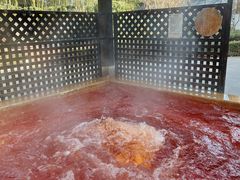 -春晖园度假酒店温泉