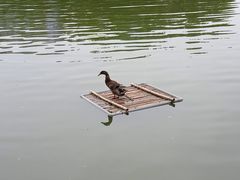 -中国农业博物馆