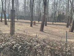 -秦皇岛野生动物园