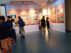 -南越王博物院(王宫展区)