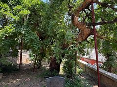 -泰山风景名胜区-普照寺