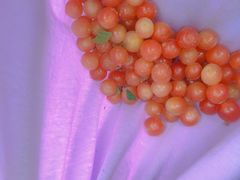 -谭家弄堂(亚欧商厦店)