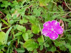 android_upload_pic-贵阳市花溪国家城市湿地公园