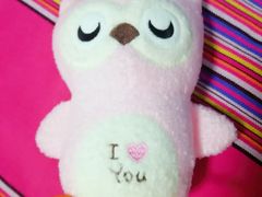 -PAWTOY爪e玩偶店(天兴罗斯福店)