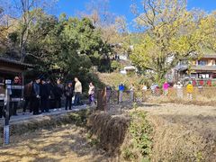 -塔川景区