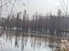 -白鹭湾湿地公园