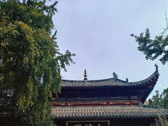 -长春观