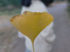 -天元公园