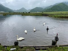 -大九湖