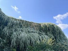 -府河摄影公园